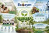 Câu chuyện Ecozym